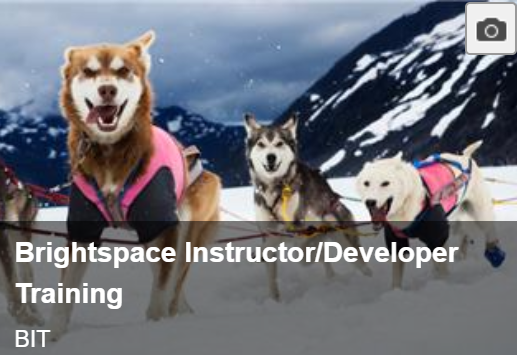 Brightspace Instructor Training