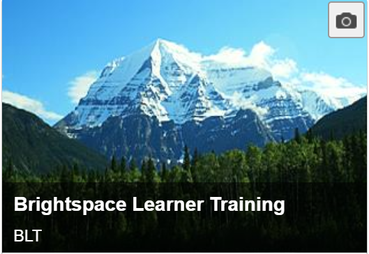 Learning @ Brightspace Effectively